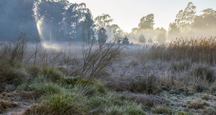 ARCHIVO | Agencia Gradual