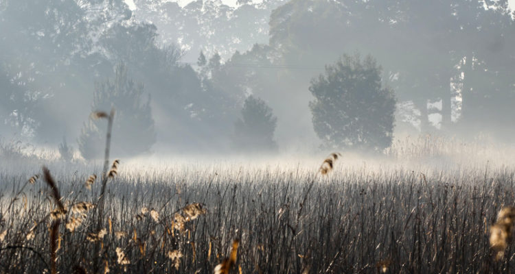 
Archivo | Agencia Gradual