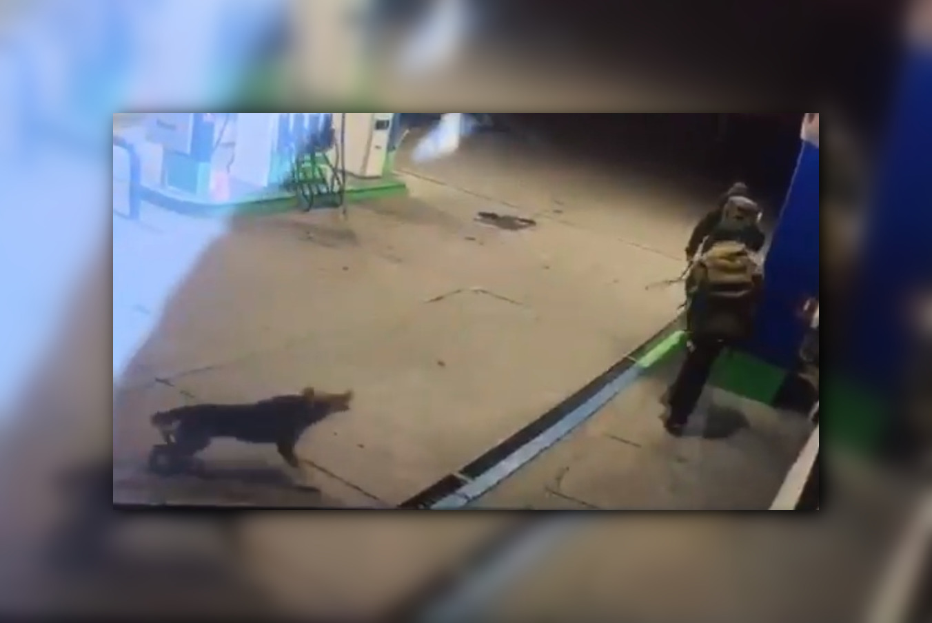 Captura de video