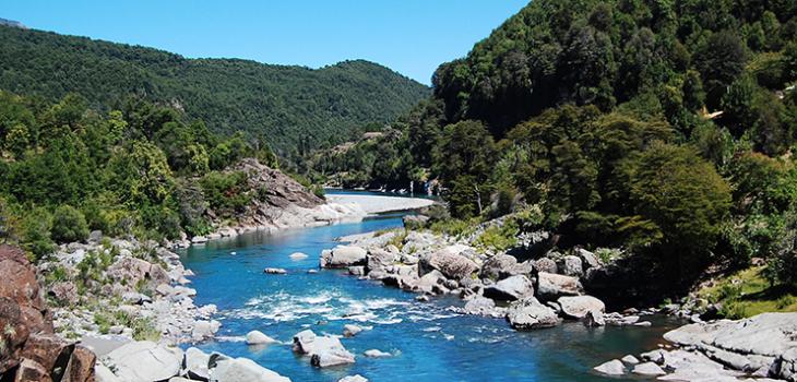 ARCHIVO | embalsepunilla.cl