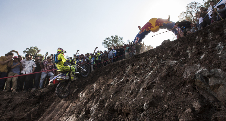 Redbull Oficial