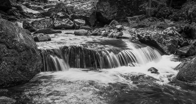 Contexto | Max Pixel