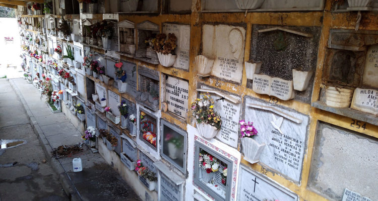 Leonardo Rubilar | Agencia UNO
