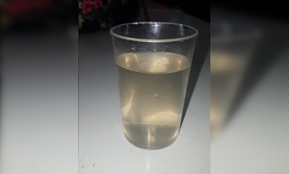 Cedida