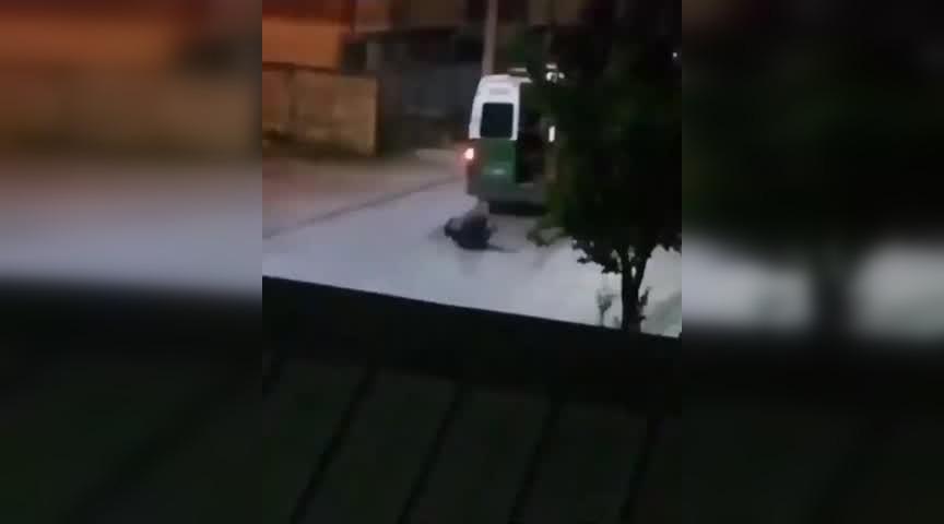 Captura
