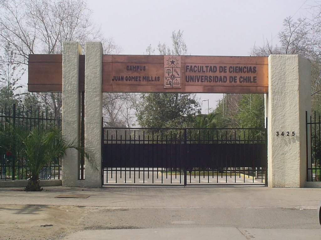 Archivo | Universidad de Chile 