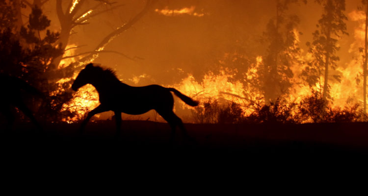 gobierno-se-prepara-para-incendios-del-verano-y-dispone-presupuesto-ms-alto-en-la-historia-e1570037461606-750x400.jpg