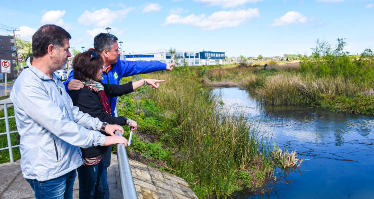Municipalidad de Concepción