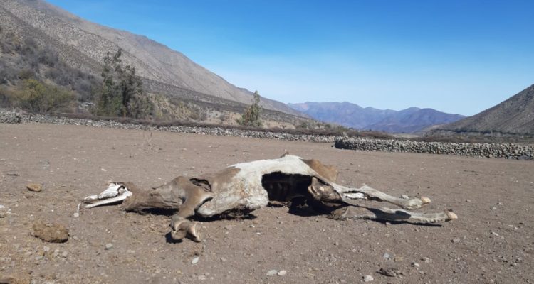 Contexto | Rodolfo Hahn (RBB)