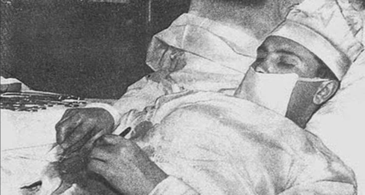 (CC) Wikimedia Commons