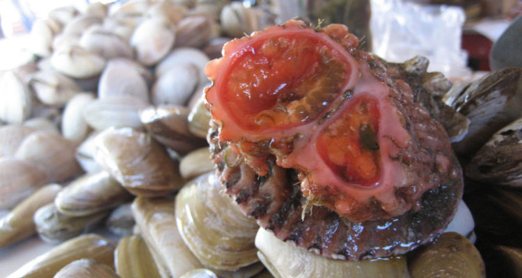 (CC) Wikimedia Commons