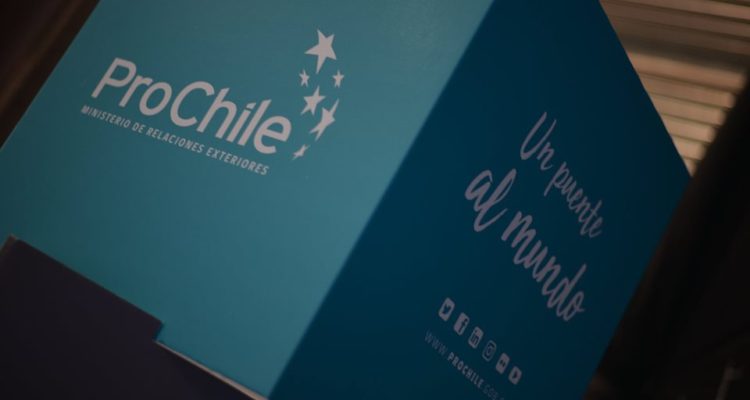 Facebook | ProChile