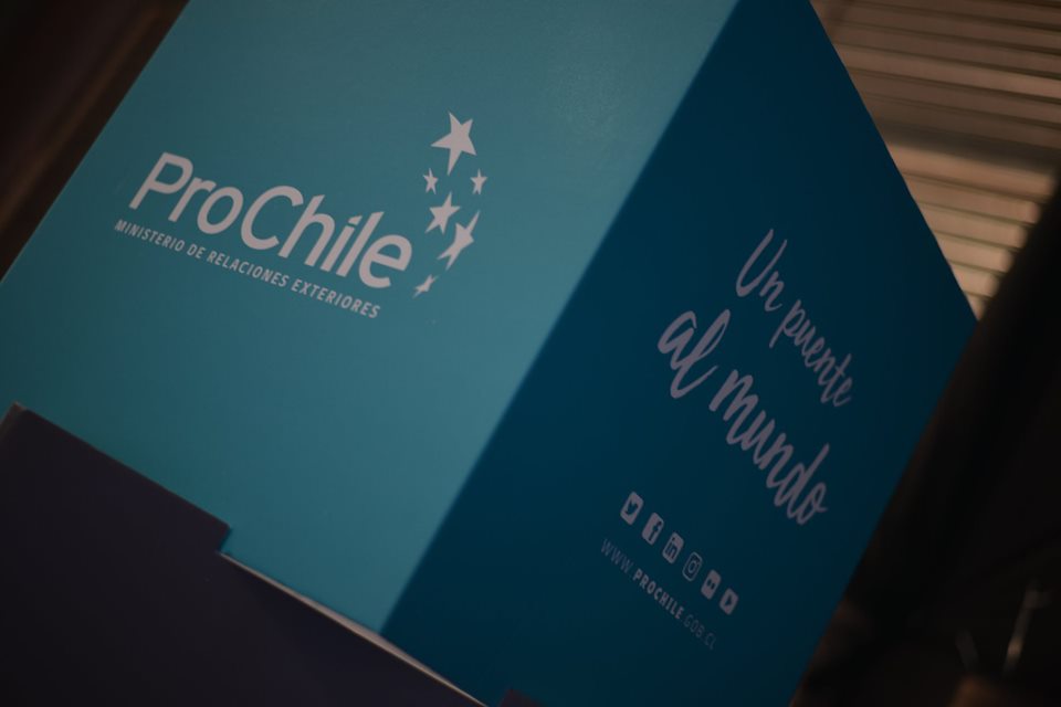 Facebook | ProChile