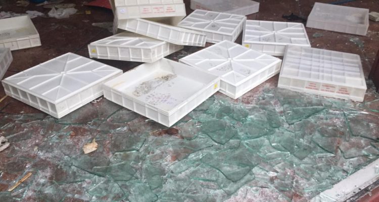 Carlos Avendaño | RBB