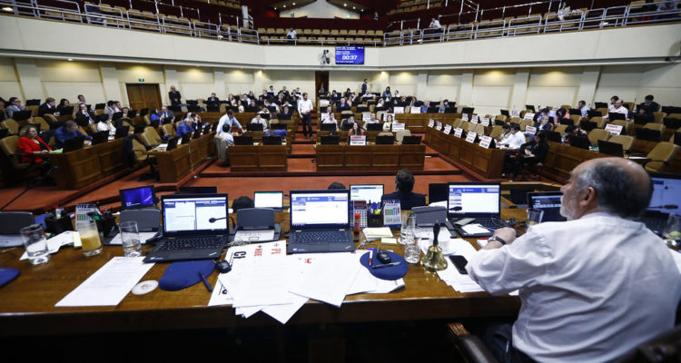 Christel Andler |  Cámara de Diputados | Flickr