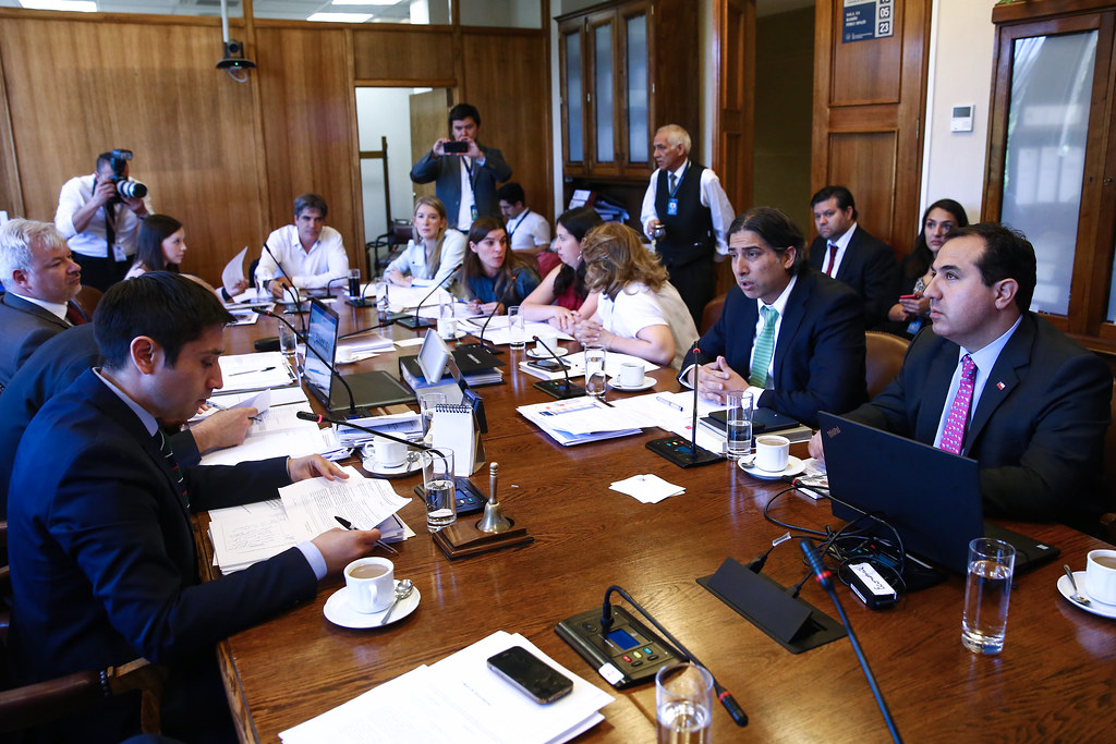 Johanna Zárate | Cámara de Diputados | Flickr