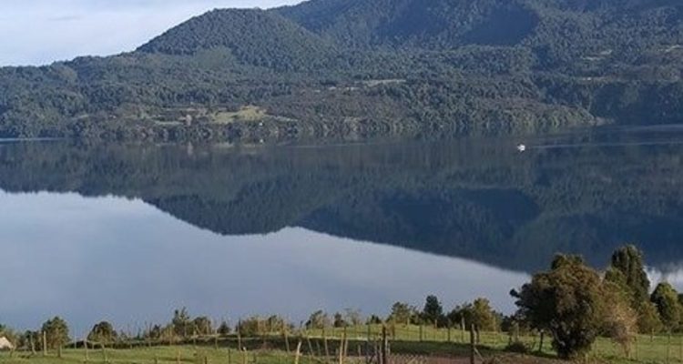 @Geosorno01 | Twitter