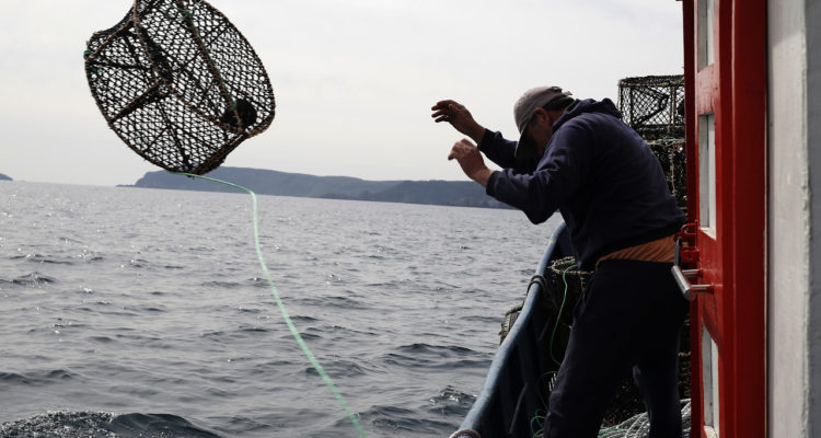 Archivo | Sebastian Brogca | Agencia UNO