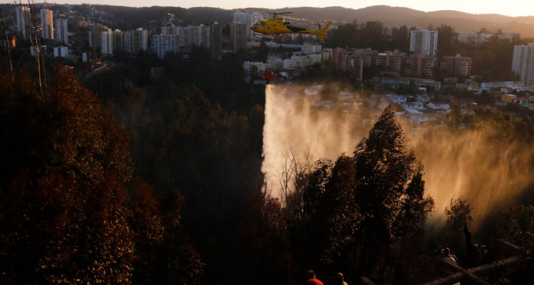  Incendio forestal en Rodelillo. 