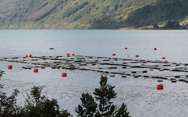 Archivo | Agencia UNO