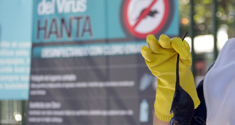 ARCHIVO | Francisco Castillo | Agencia Uno