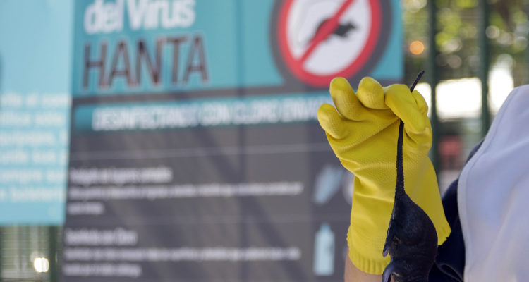 CONTEXTO | Francisco Castillo | Agencia UNO 