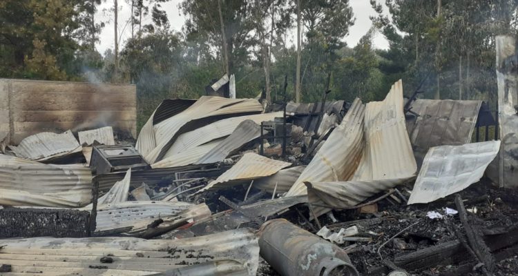 Víctor Carrasco | RBB