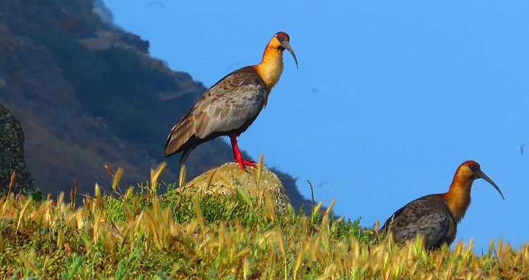 Contexto | Wikipedia