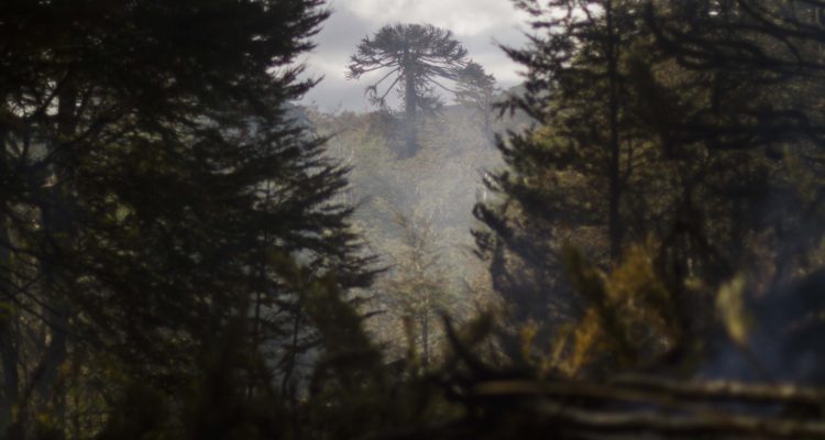 CONTEXTO | Agencia UNO
