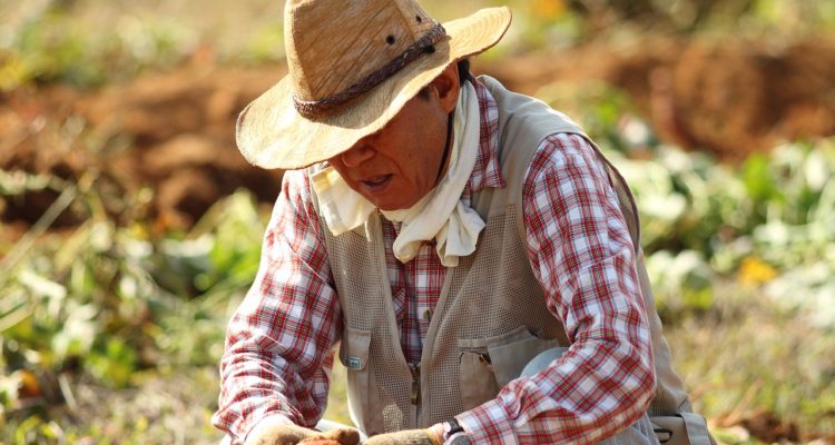 Thomas0000 | Pixabay (cc0)