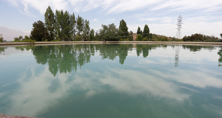 Contexto | Agencia UNO