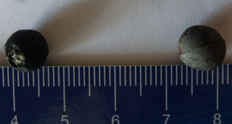 Universidad de Chile
