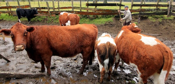 CONTEXTO | Agencia UNO