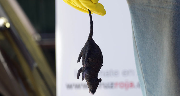 ARCHIVO | Agencia UNO