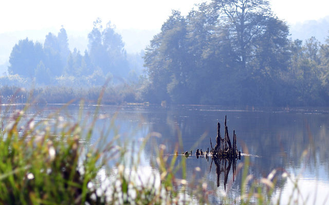 Contexto | Agencia UNO