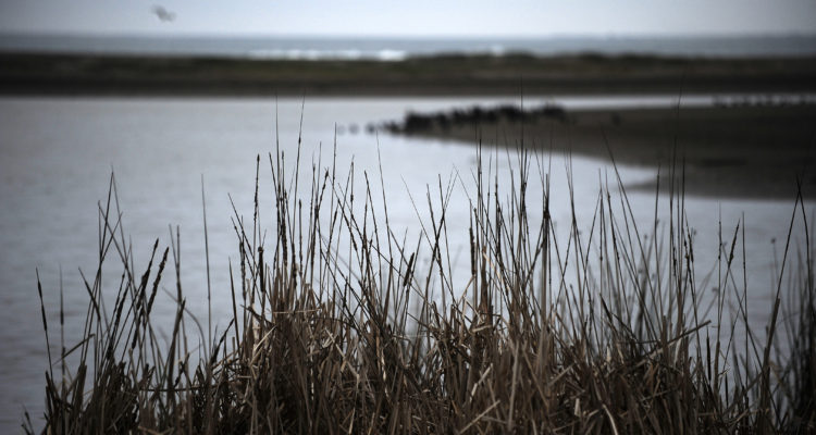 CONTEXTO | Pablo Ovalle | Agencia UNO