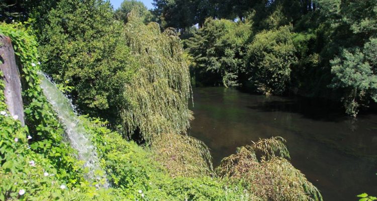 Red Ambiental Ciudadana de Osorno | Facebook