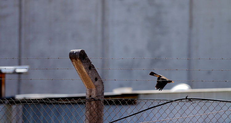 ARCHIVO | Agencia UNO
