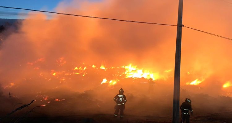 Felipe Cornejo (RBB)