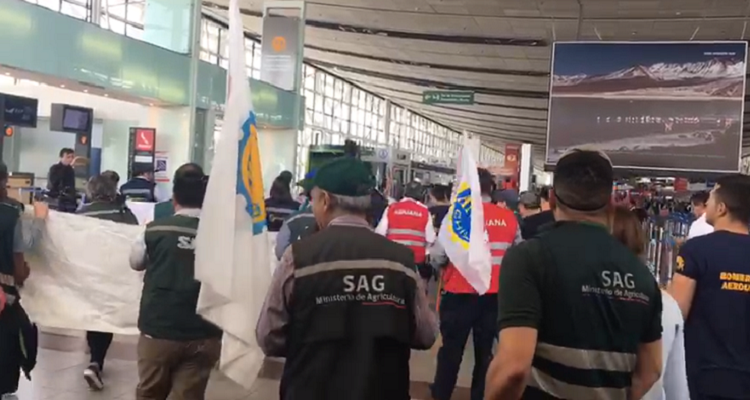 Captura de video