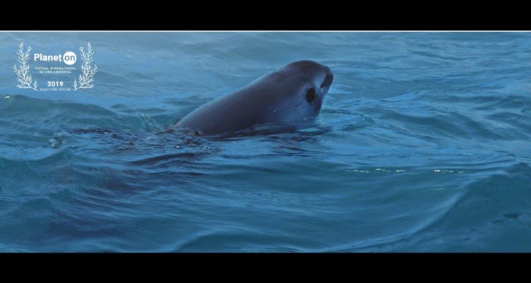  National Geographic.
