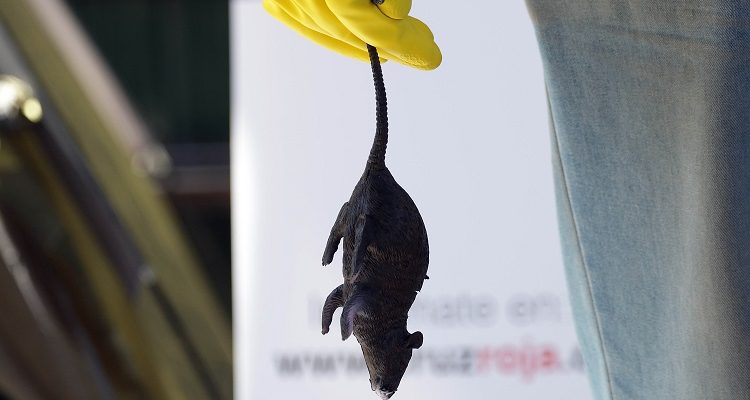 CONTEXTO | Francisco Castillo | Agencia Uno