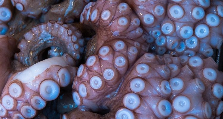 Contexto | Max Pixel 