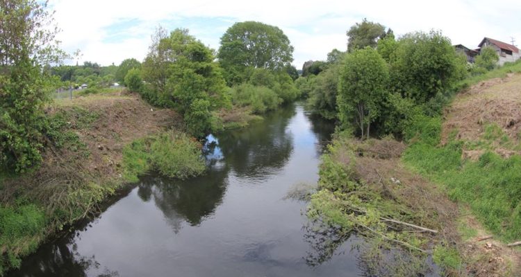 Red Ambiental Ciudadana | Facebook