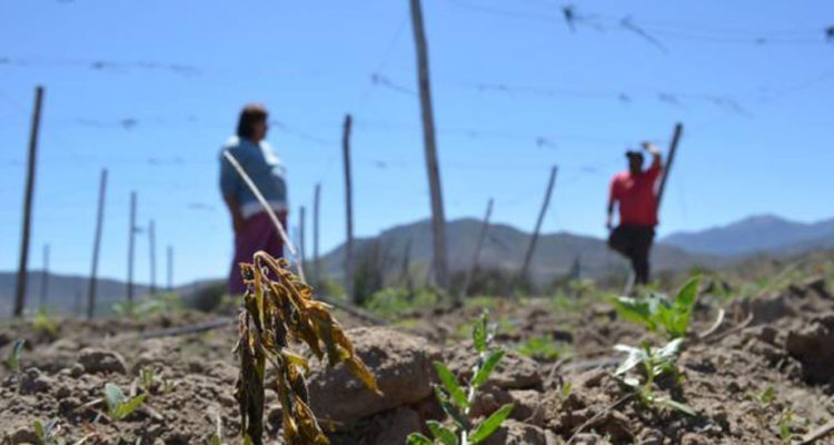 CONTEXTO | Agencia UNO