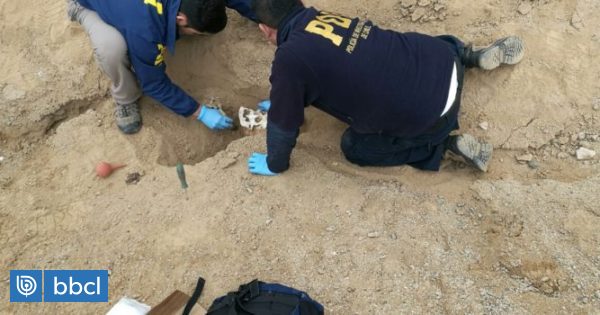 Encuentran cráneo de larga data en Viña del Mar: fue hallado por perro que escarbó en un jardín - BioBioChile