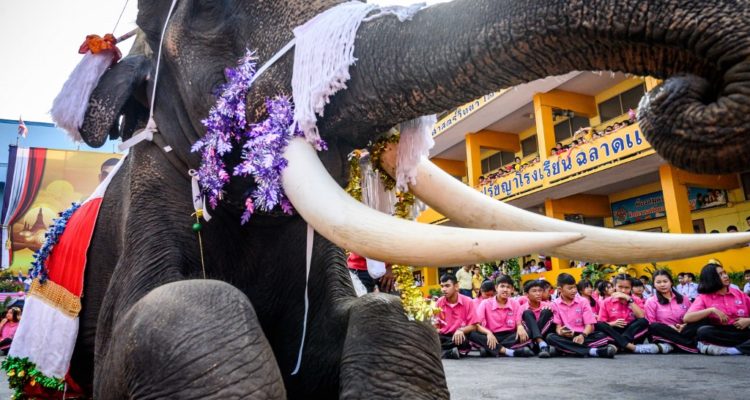  Mladen Antonov | AFP