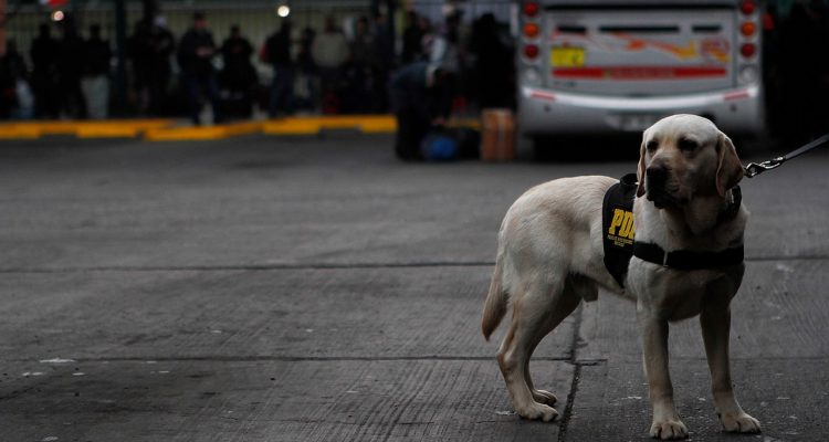 Archivo | José Carvajal | Agencia UNO