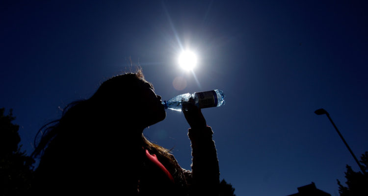 Maribel Fonerod | Agencia Uno