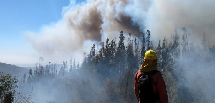 declaran-alerta-roja-para-chillan-por-incendio-forestal-en-sector-quinchamali.jpg